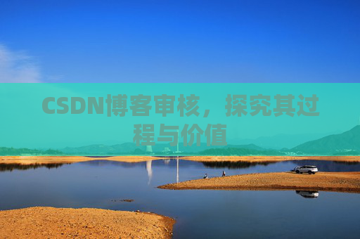 CSDN博客审核，探究其过程与价值